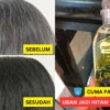 minyak zaitun mencegah uban