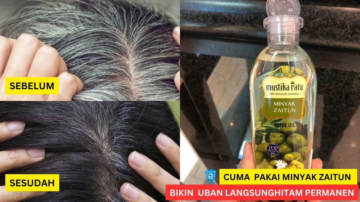 minyak zaitun untuk rambut uban