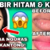 pemerah bibir permanen terbaik