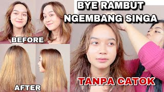 Sampo untuk rambut kering dan mengembang