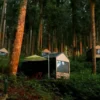 tempat glamping di Purwokerto