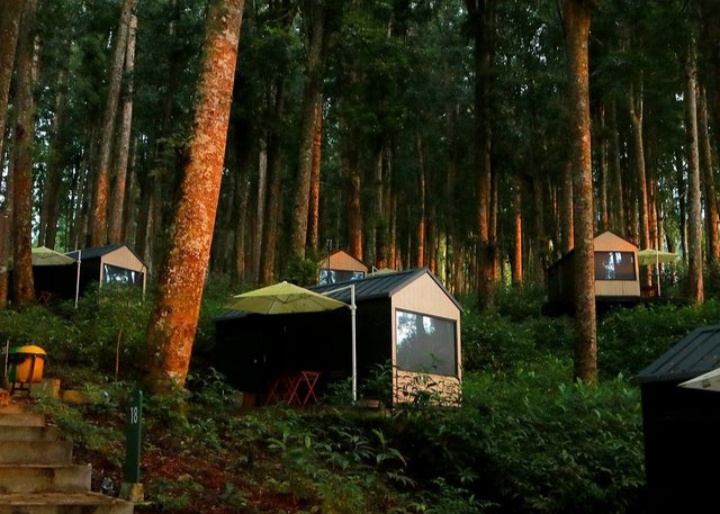 tempat glamping di Purwokerto