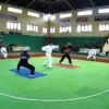 Pencak Silat