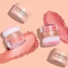 Hanasui Perfect Check Blush and Go Powder