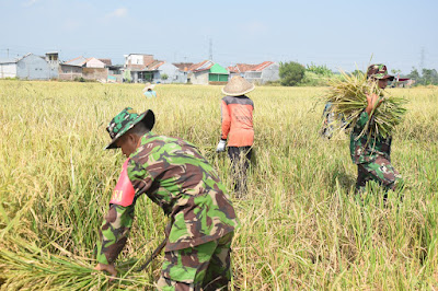 Ptotani Protangguh