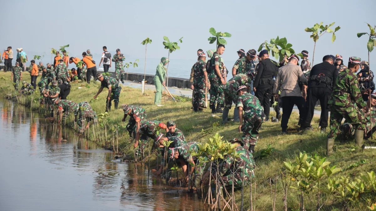 Karya bakti penghijauan tanam mangrove