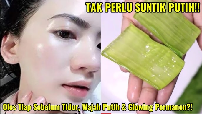 aturan pakai lidah buaya untuk wajah