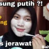 cara membuat masker lidah buaya untuk memutihkan wajah dengan cepat