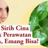 daun sirih cina untuk wajah