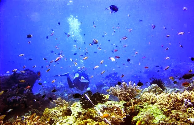 daya tarik Pantai Bangsring