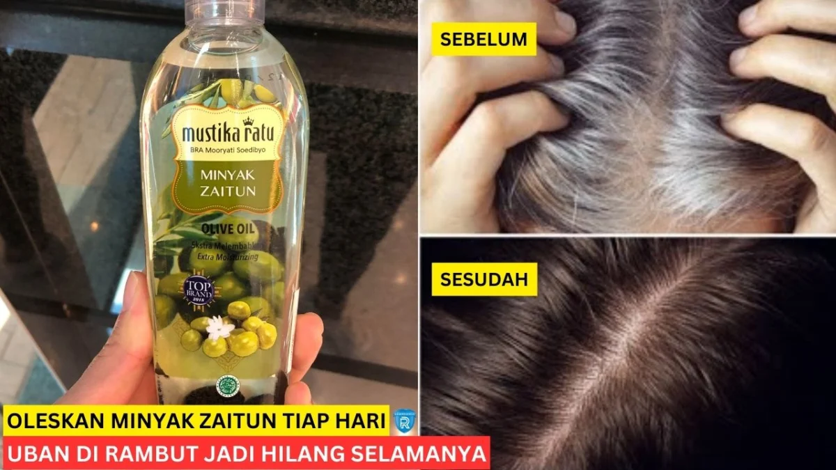 kegunaan olive oil untuk rambut