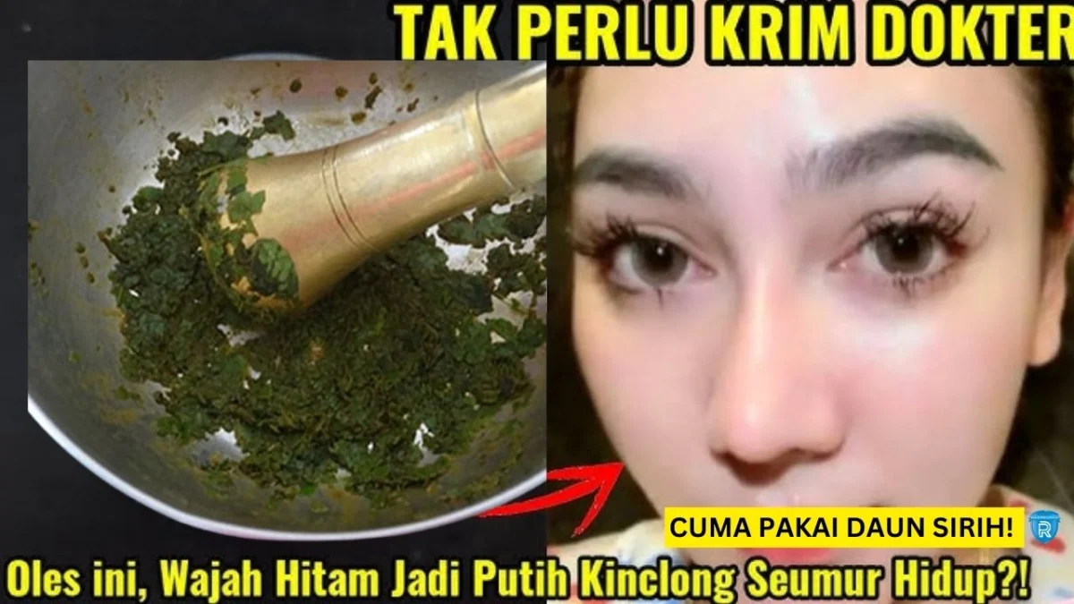 manfaat daun sirih untuk wajah glowing