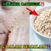 masker oatmeal mencerahkan wajah