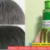 minyak kayu putih untuk rambut uban