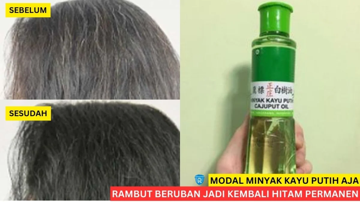 minyak kayu putih untuk rambut uban