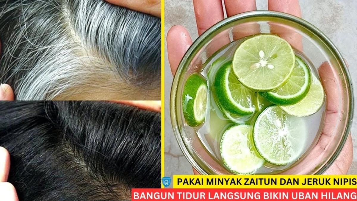 minyak zaitun dan jeruk nipis untuk rambut uban