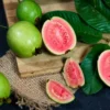 Manfaat Jambu untuk Kecantikan (pexels)