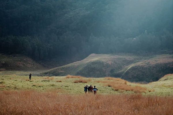 Alasan Berwisata ke Padang Savana Dieng