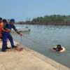 Relawan sar di kota pekalongan berlatih basic water rescue