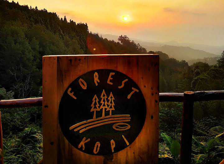 Hal Menarik yang Ditawarkan Forest Kopi