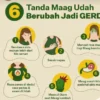 Tanda Maag Berubah Menjadi GERD