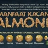 Manfaat Almond untuk Kesehatan Tulang