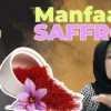 Manfaat Saffron untuk Kesehatan Kulit dan Tubuh