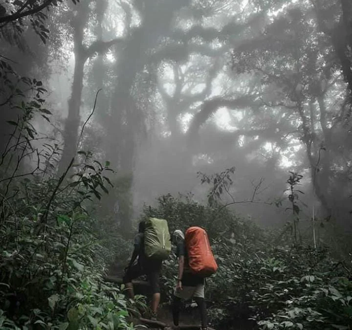 Tips Berwisata ke Curug Lojahan