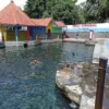 Wisata Religi Umbul Sungsang