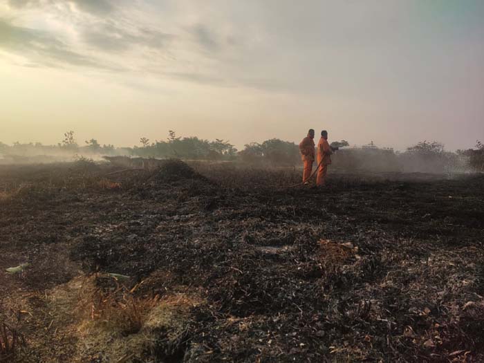 Hutan Pinus di Kandangserang Terbakar