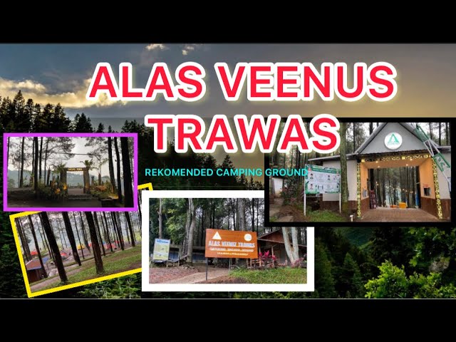 tempat wisata Alas Veenuz Trawas