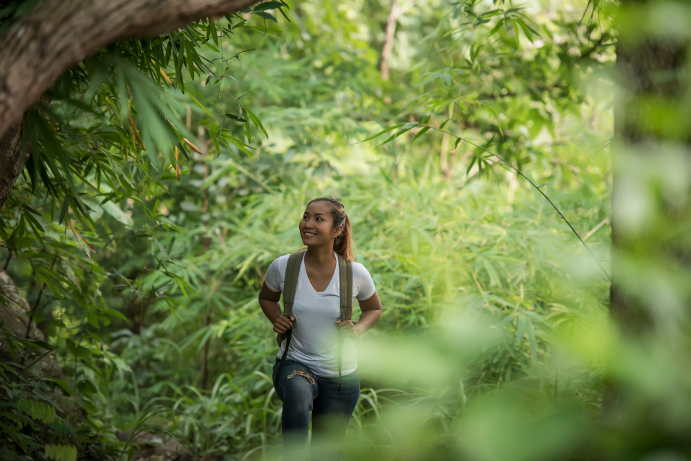 fotografi hutan