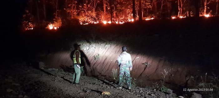 Kebakaran Hutan dan Lahan