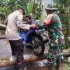 Pohon Besar Tumbang dan Tutup Akses