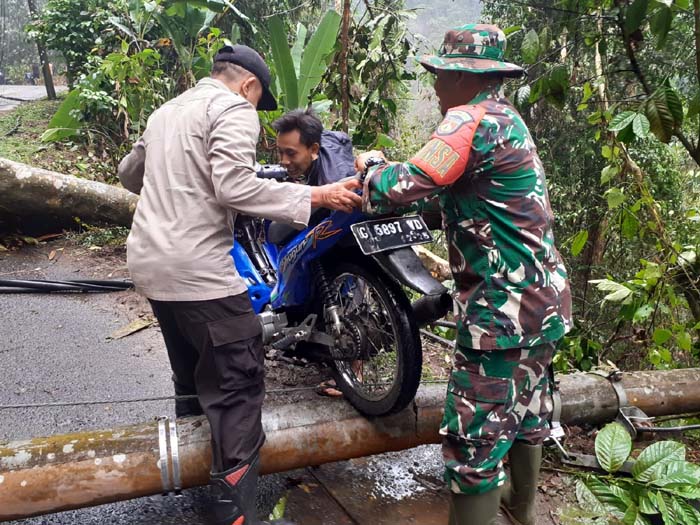 Pohon Besar Tumbang dan Tutup Akses