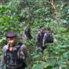 patroli hutan