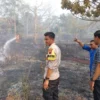 KEBUN durian milik mantan Kapolres Pekalongan