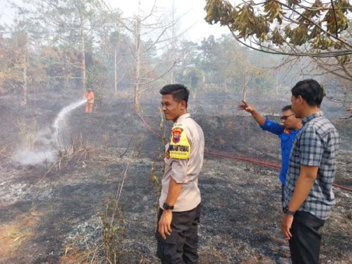 KEBUN durian milik mantan Kapolres Pekalongan