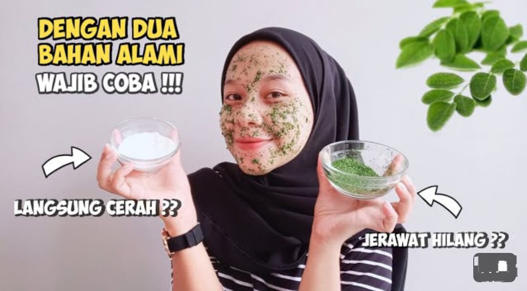 cara membuat masker daun kelor untuk memutihkan wajah