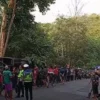 Bus Rombongan Pengantin Terguling di Pekalongan, Dua Tewas dan Belasan Terluka