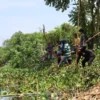 Pemkot Pekalongan Ajak Warga Bersihkan Eceng Gondok di Sungai Loji Lewat Program Padat Karya