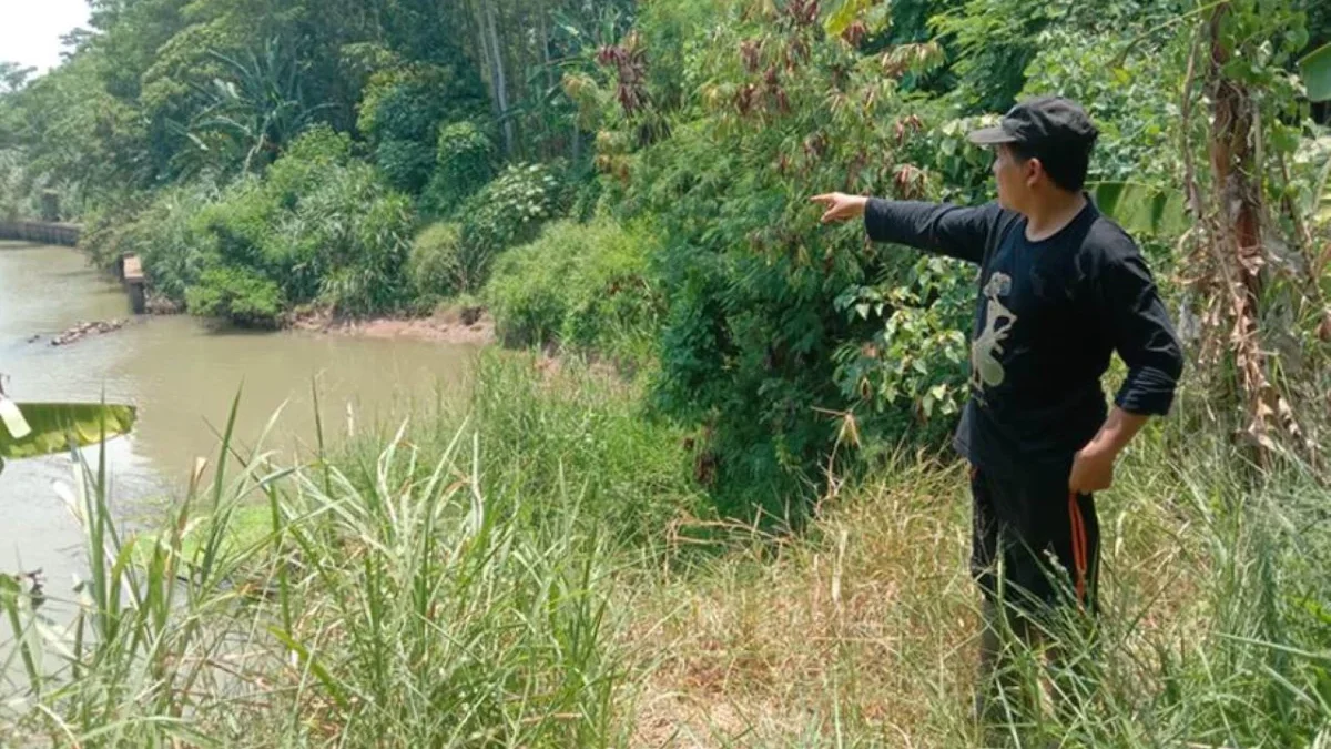 Erosi Tebing Kali Kuto Ancam Warga Kebondalem, Siaga Hadapi Potensi Banjir