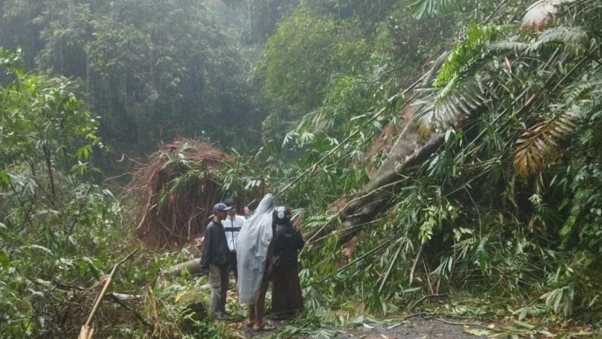 Longsor Tutup Jalur Kroyakan, Akses ke Petungkriyono Terganggu