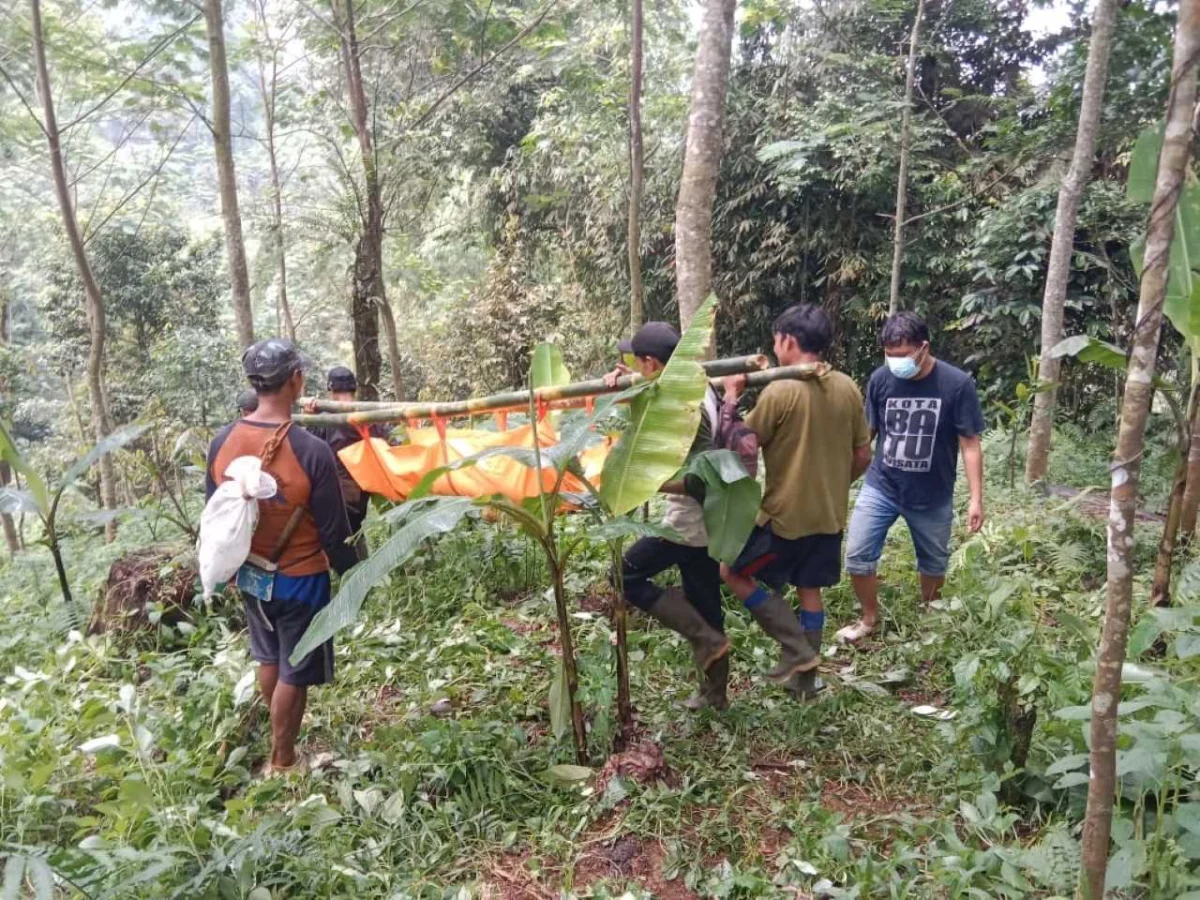 Mayat Perempuan Tanpa Busana Ditemukan Di Hutan Doro Diduga Odgj Radar Pekalongan Id