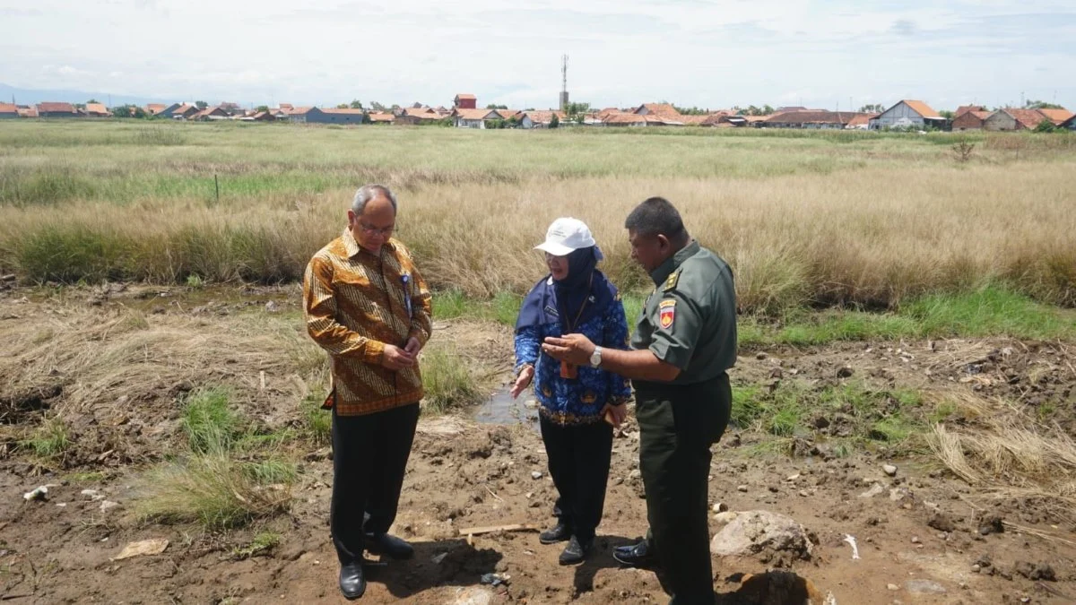 Hidupkan Kembali Lahan Rob, BI Tegal dan Pemkot Pekalongan Mulai Penanaman Padi Biosalin di Degayu