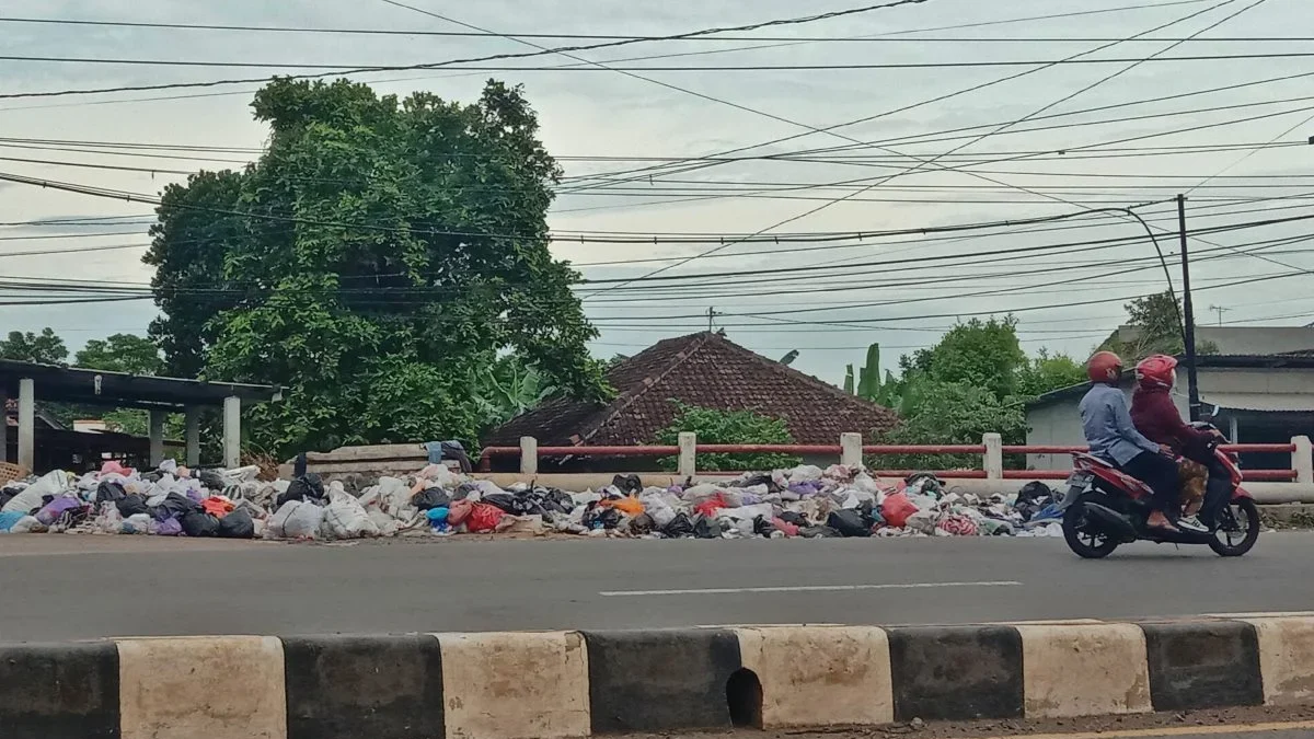 Kawasan Industri Batang Tercoreng, Sampah Menggunung di Pasar Plelen