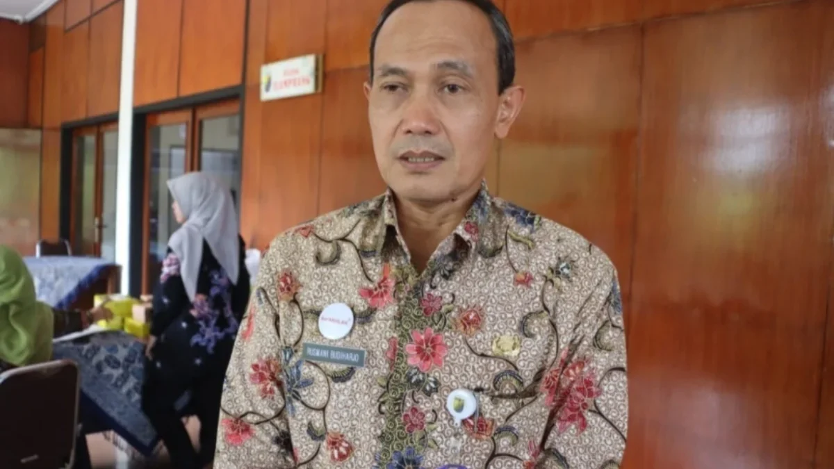 Kesempatan Emas! Non-ASN Berpendidikan SD-SMP Bisa Daftar PPPK Tahap II