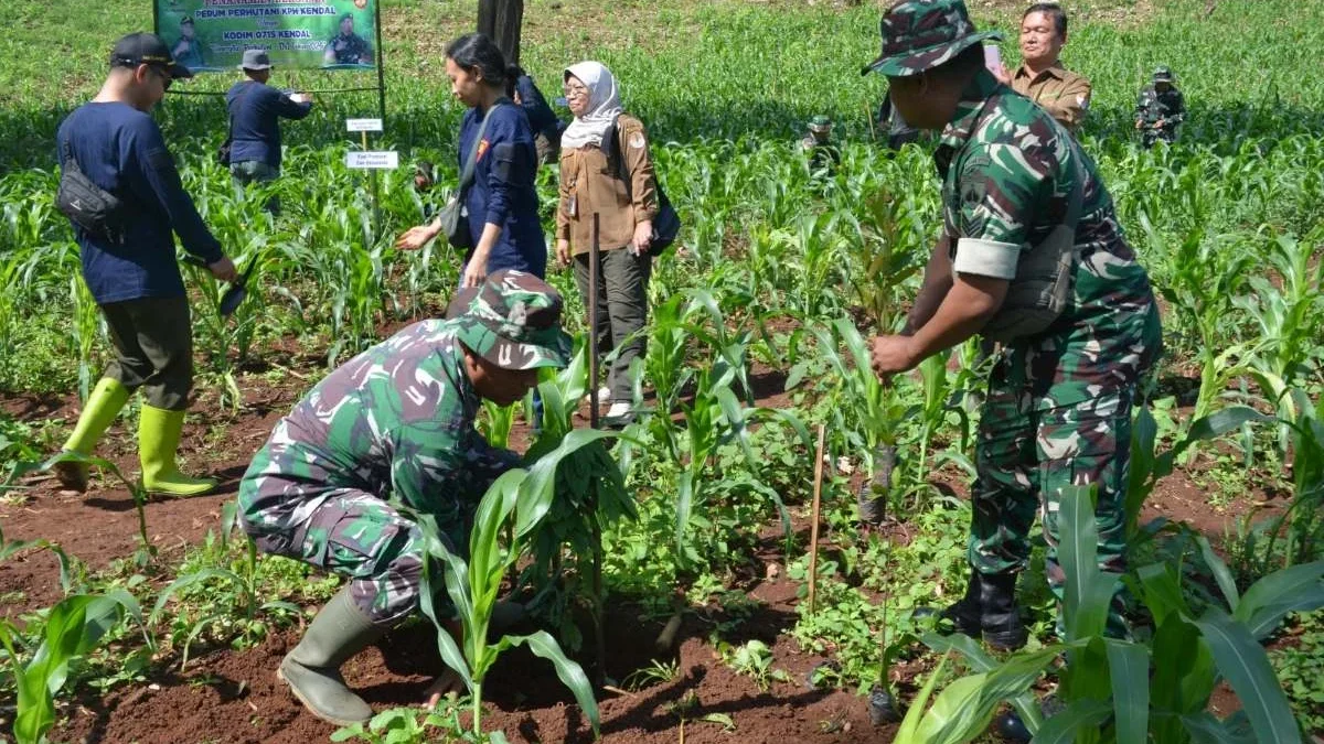 Kodim dan Perhutani KPH Kendal Kolaborasi Tanam 200 Bibit Pohon di Goa Kiskendo