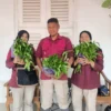 Panen Kangkung 90 Kilogram, Lapas Pekalongan Berkontribusi pada Ketahanan Pangan