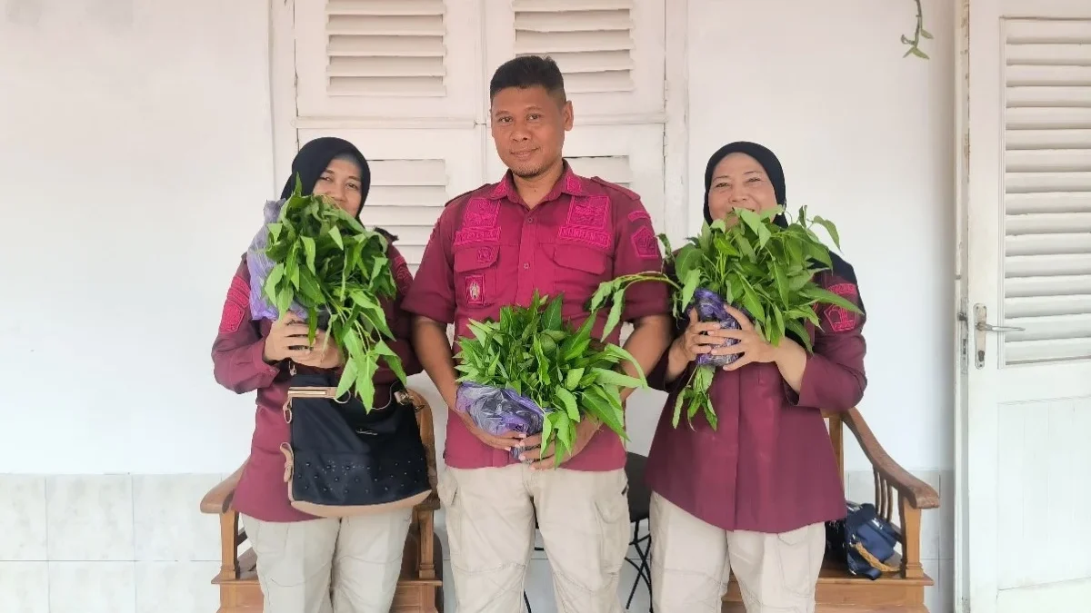 Panen Kangkung 90 Kilogram, Lapas Pekalongan Berkontribusi pada Ketahanan Pangan